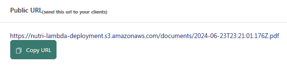 public-url.png